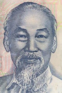 专家头像